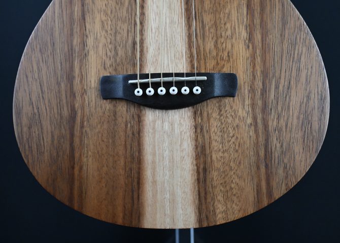 Ibanez PN2WS-OPB Open Pore Brown Parlor Acoustic #195