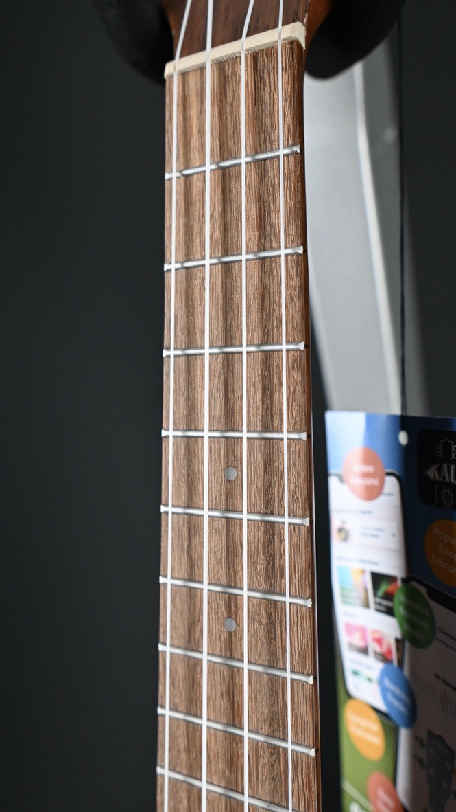 Kala KA-TEAK-T Teak Tenor Ukulele #2511