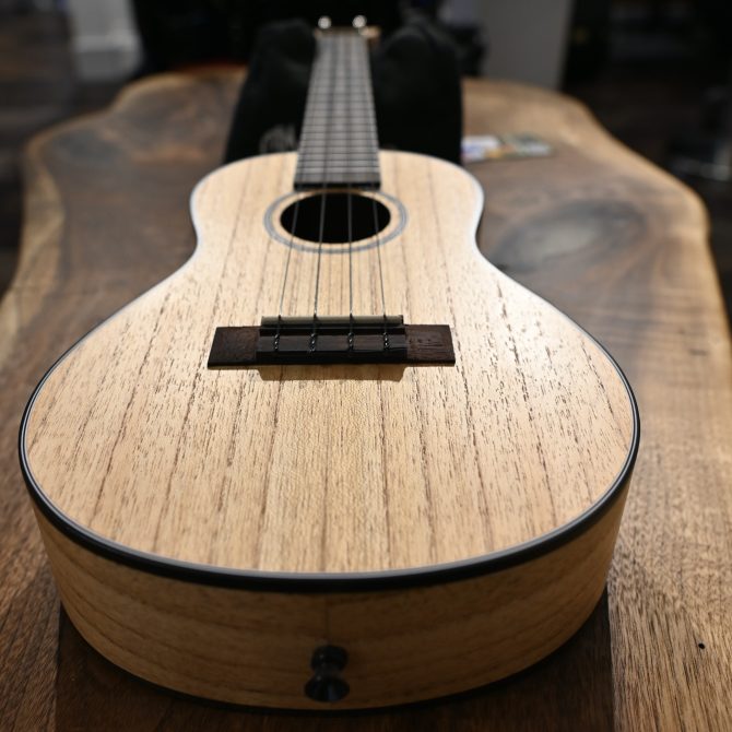 Kala KA-CLM-C Cape Lilac Mahogany Concert Ukulele with Bag #2511