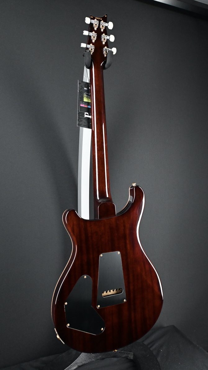 PRS DGT Semi-Hollow w/ Birds 10-Top McCarty Tobacco Sunburst #495