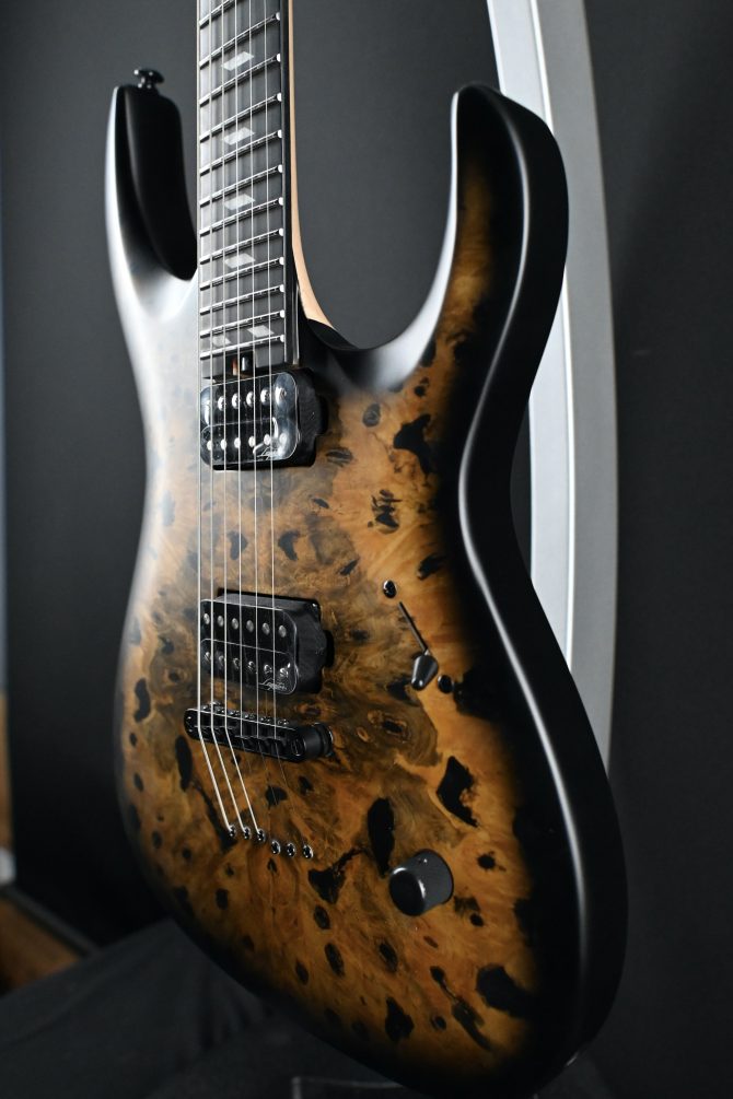 Legator N300-PRO-DV Death Valley #011