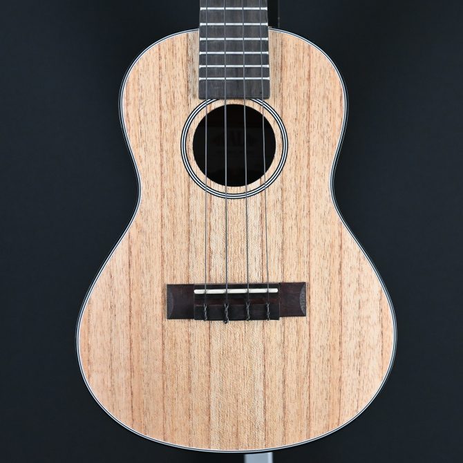 Kala KA-CLM-C Cape Lilac Mahogany Concert Ukulele with Bag #2511