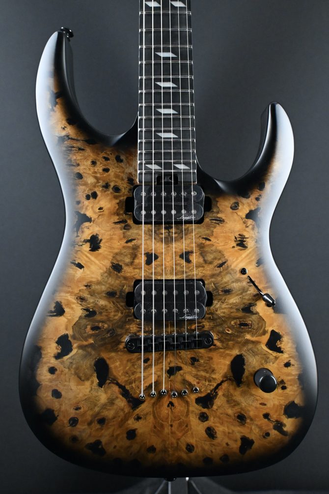 Legator N300-PRO-DV Death Valley #011