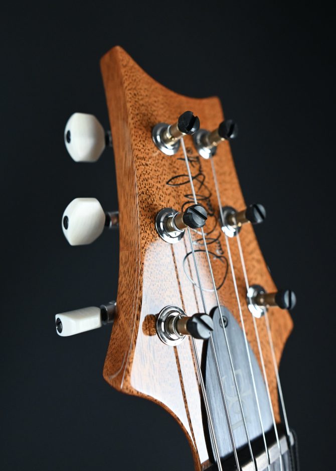 PRS DGT w/ Birds Faded Blue Jean #294