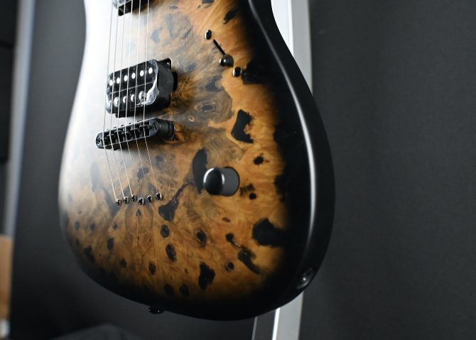 Legator N300-PRO-DV Death Valley #011