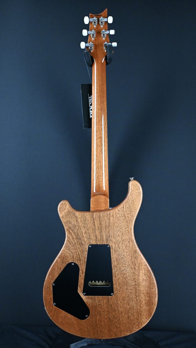 PRS DGT w/ Birds Faded Blue Jean #294