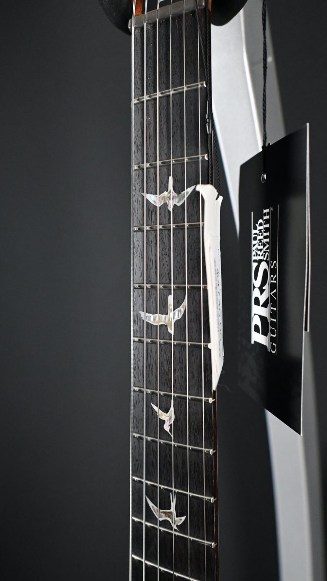 PRS DGT w/ Birds Faded Blue Jean #294