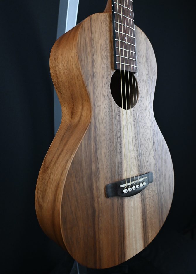 Ibanez PN2WS-OPB Open Pore Brown Parlor Acoustic #195