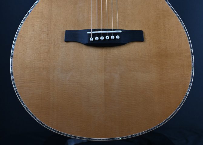 PRS SE Tonare T60E Natural #322