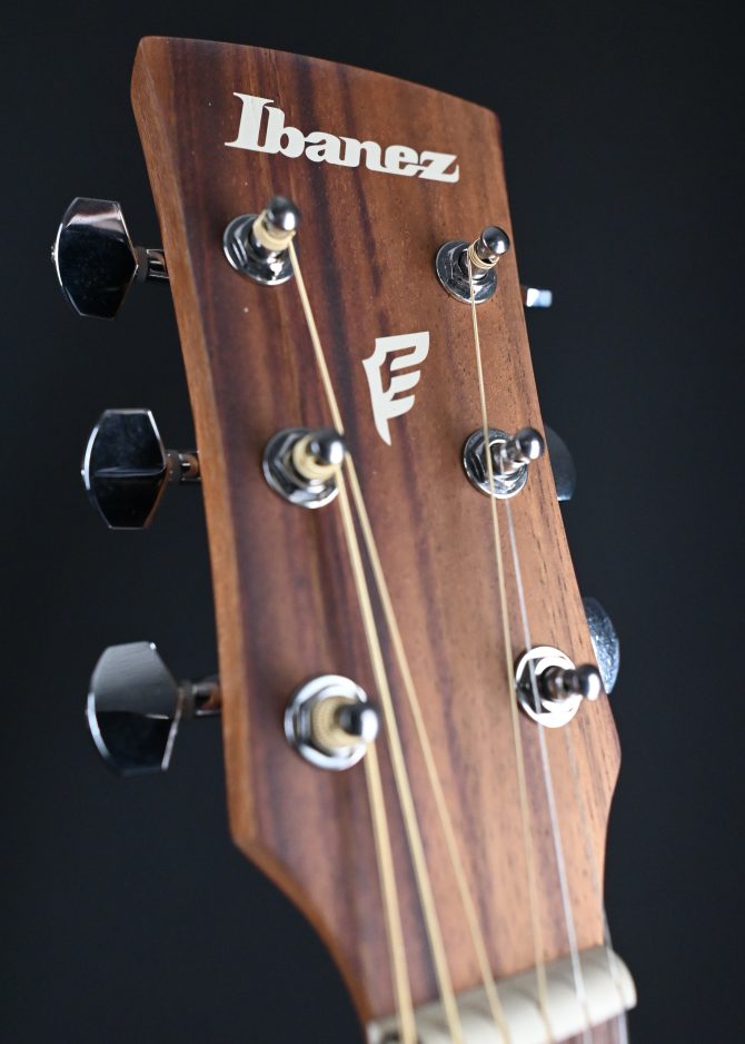 Ibanez PN2WS-OPB Open Pore Brown Parlor Acoustic #195