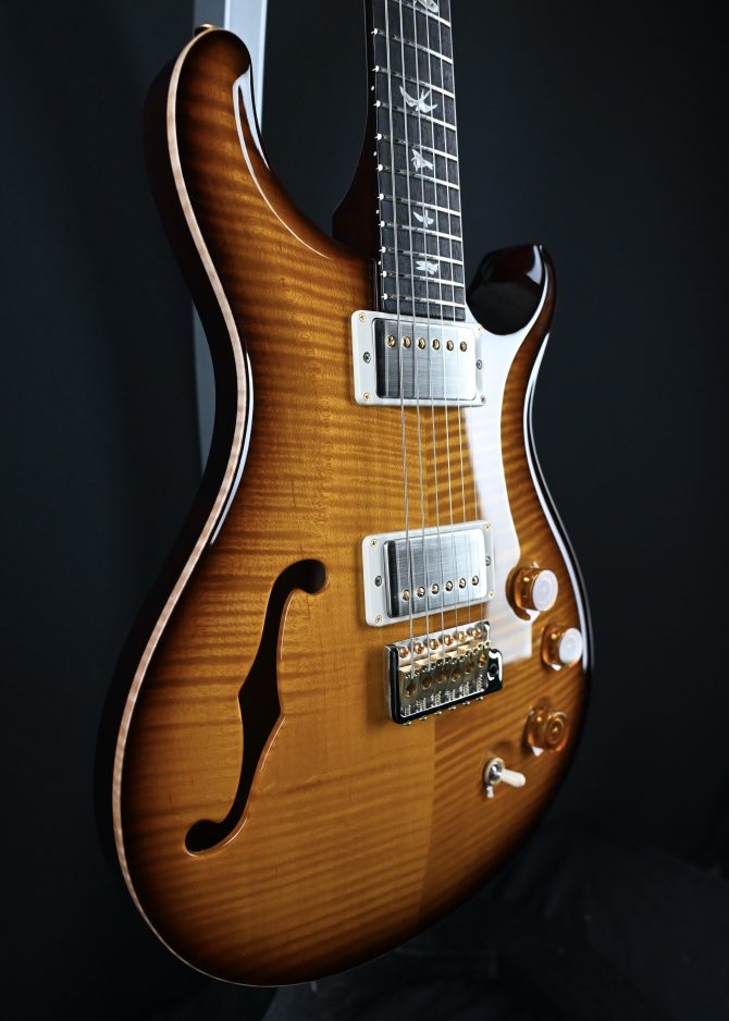 PRS DGT Semi-Hollow w/ Birds 10-Top McCarty Tobacco Sunburst #495