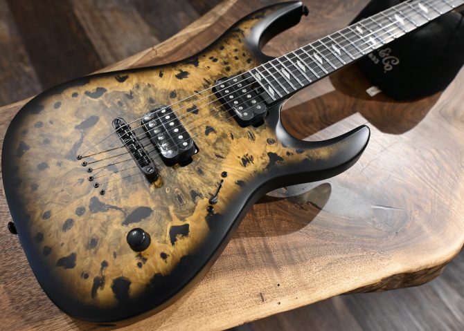 Legator N300-PRO-DV Death Valley #011