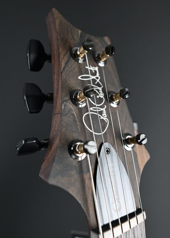 PRS Wood Library Custom 24 Piezo 10-Top Copperhead #604