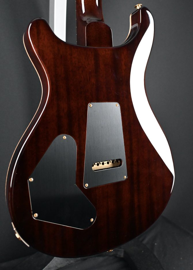 PRS DGT Semi-Hollow w/ Birds 10-Top McCarty Tobacco Sunburst #495