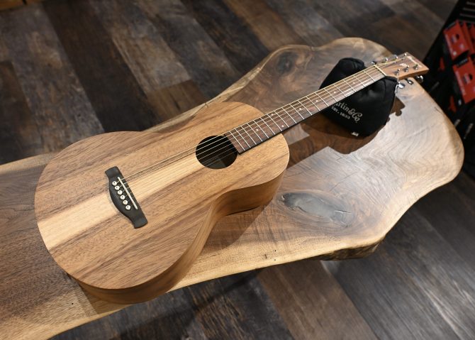 Ibanez PN2WS-OPB Open Pore Brown Parlor Acoustic #195