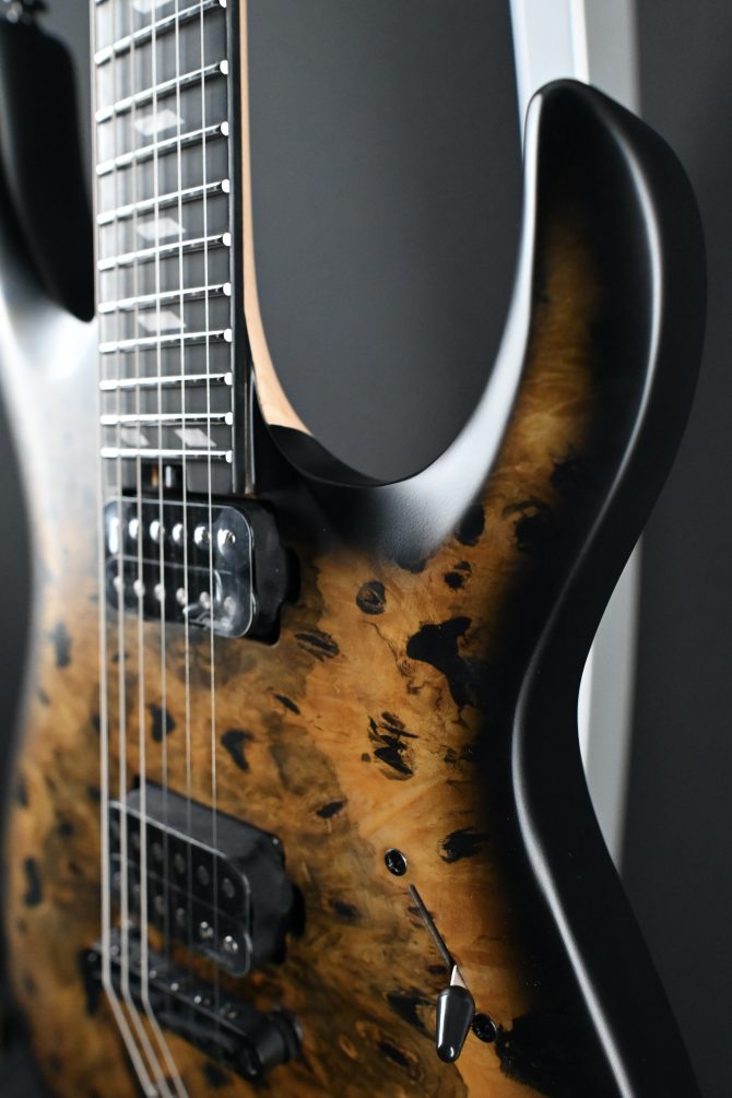 Legator N300-PRO-DV Death Valley #011