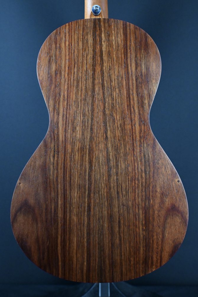 Ibanez PN2WS-OPB Open Pore Brown Parlor Acoustic #195