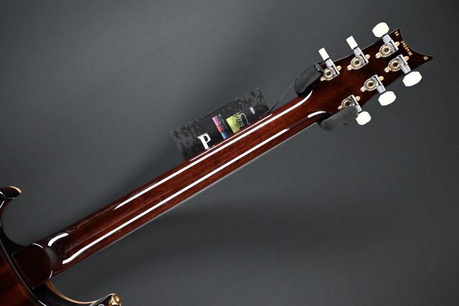 PRS DGT Semi-Hollow w/ Birds 10-Top McCarty Tobacco Sunburst #495