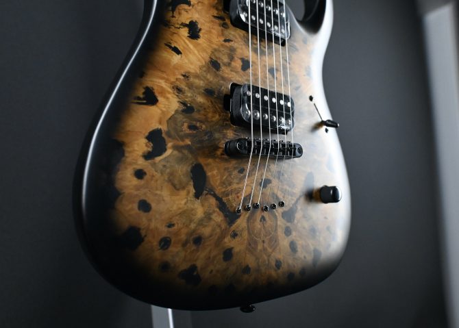 Legator N300-PRO-DV Death Valley #011