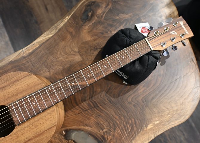 Ibanez PN2WS-OPB Open Pore Brown Parlor Acoustic #195