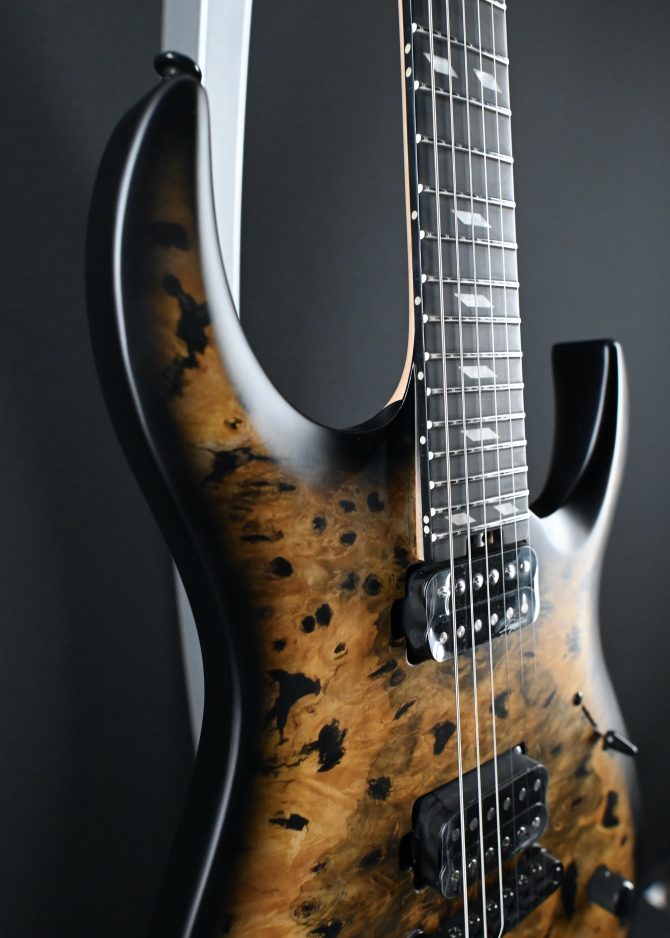 Legator N300-PRO-DV Death Valley #011