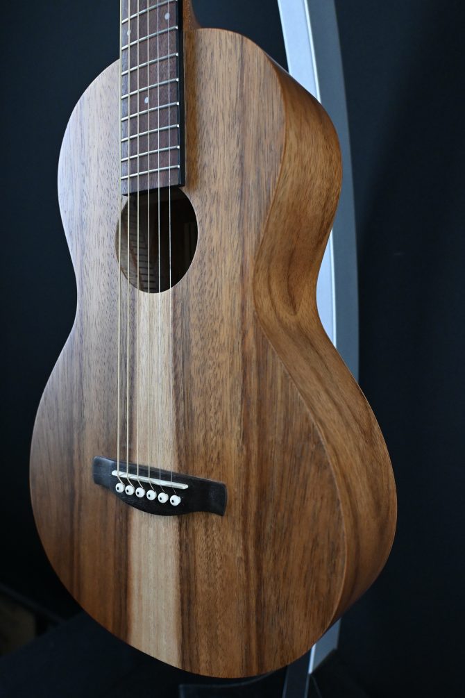 Ibanez PN2WS-OPB Open Pore Brown Parlor Acoustic #195