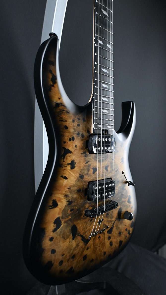 Legator N300-PRO-DV Death Valley #011