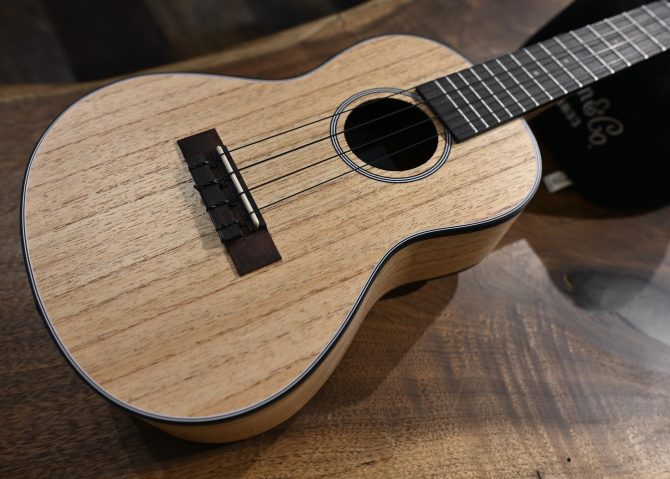 Kala KA-CLM-C Cape Lilac Mahogany Concert Ukulele with Bag #2511