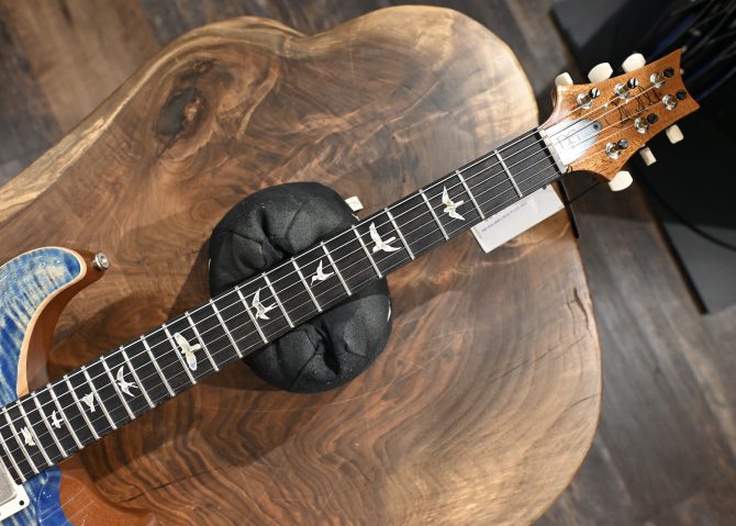 PRS DGT w/ Birds Faded Blue Jean #294