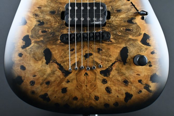 Legator N300-PRO-DV Death Valley #011