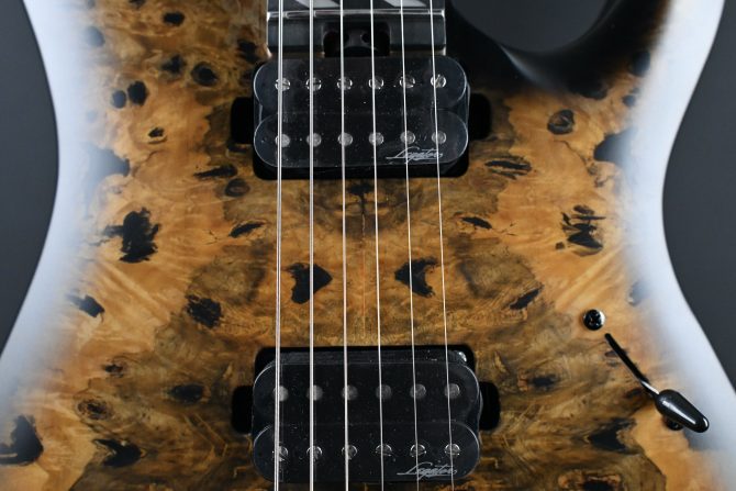 Legator N300-PRO-DV Death Valley #011