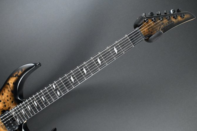 Legator N300-PRO-DV Death Valley #011