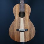 Ibanez PN2WS-OPB Open Pore Brown Parlor Acoustic #195