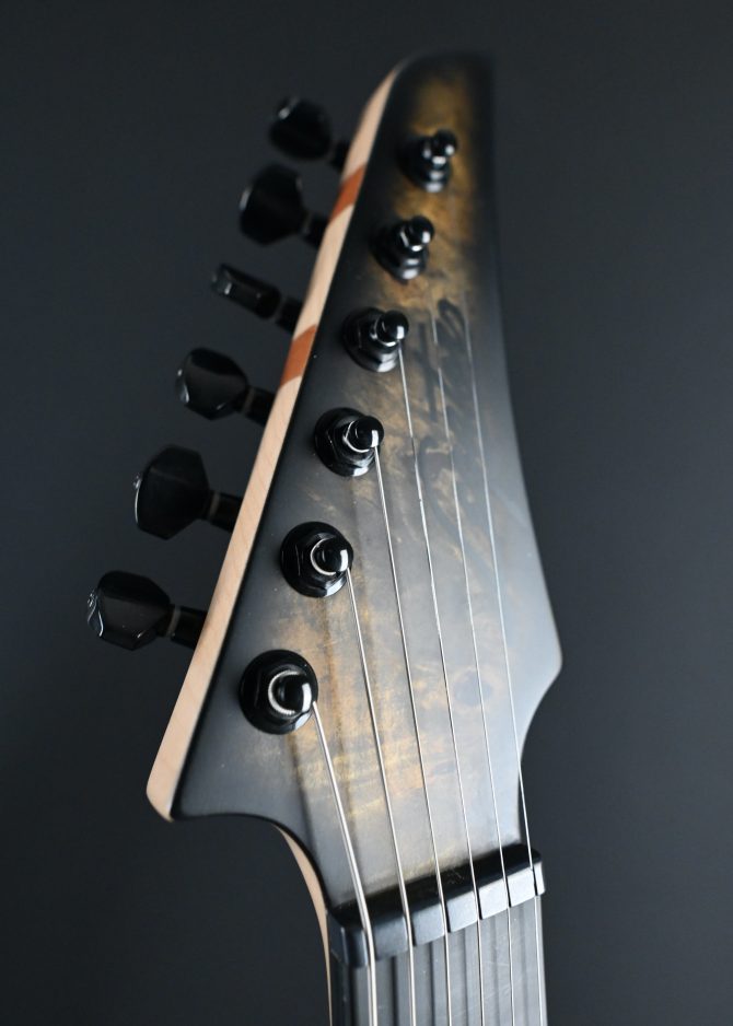 Legator N300-PRO-DV Death Valley #011