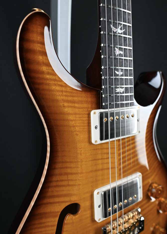 PRS DGT Semi-Hollow w/ Birds 10-Top McCarty Tobacco Sunburst #495
