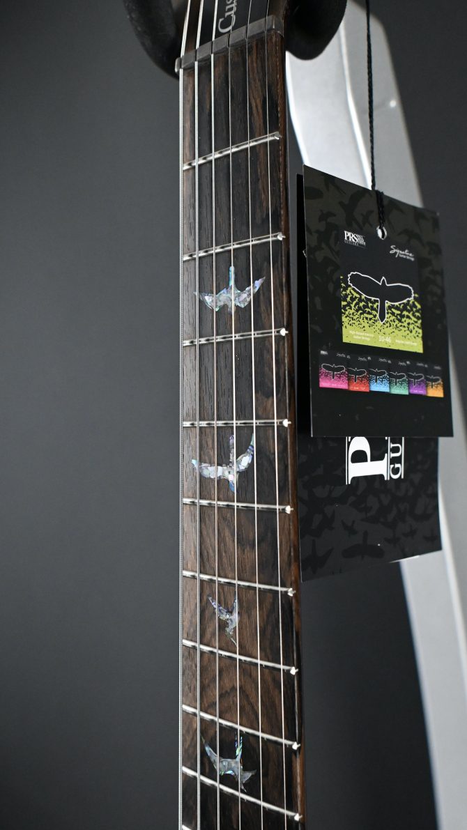 PRS Wood Library Custom 24 Piezo 10-Top Copperhead #604