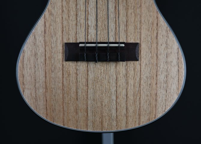 Kala KA-CLM-C Cape Lilac Mahogany Concert Ukulele with Bag #2511