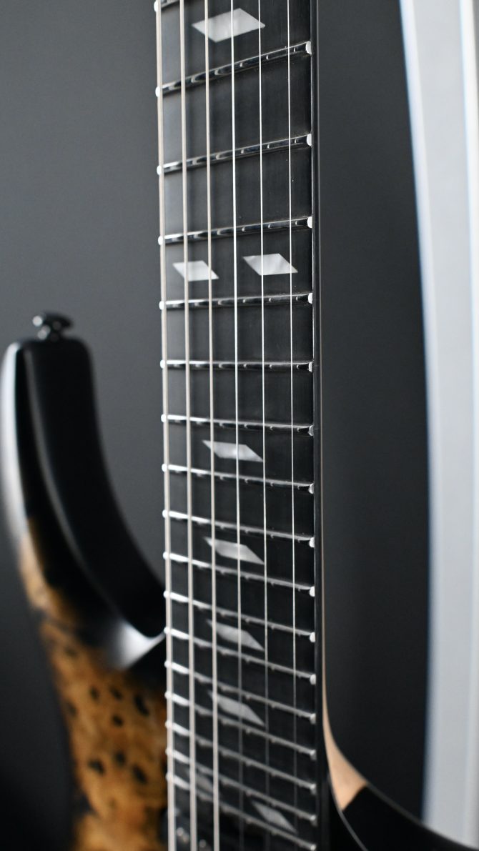 Legator N300-PRO-DV Death Valley #011