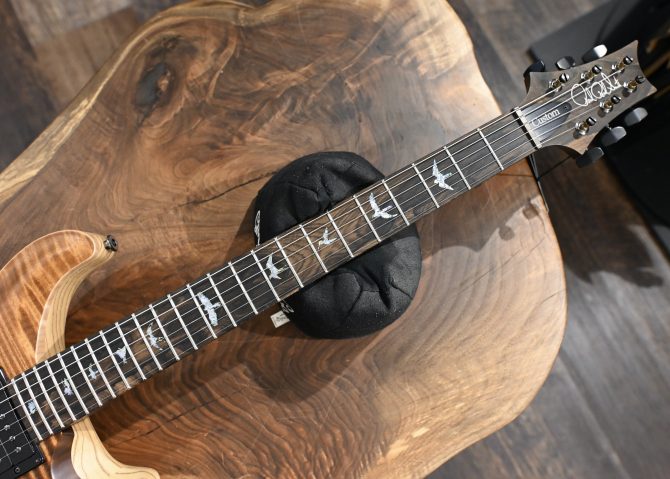 PRS Wood Library Custom 24 Piezo 10-Top Copperhead #604