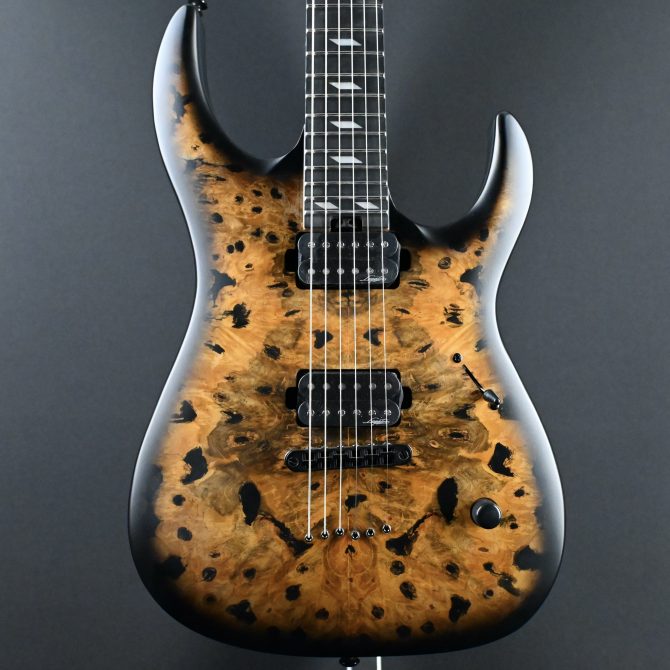 Legator N300-PRO-DV Death Valley #011