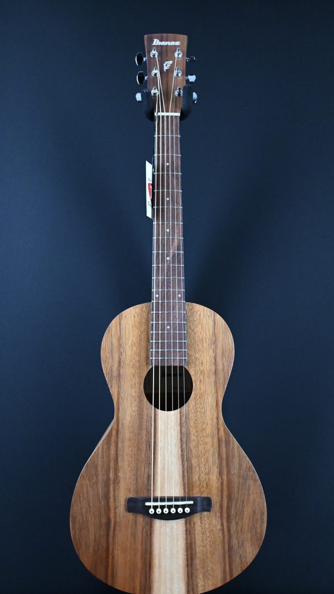 Ibanez PN2WS-OPB Open Pore Brown Parlor Acoustic #195