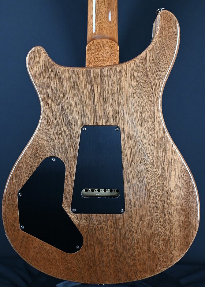 PRS DGT w/ Birds Faded Blue Jean #294