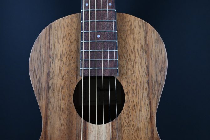 Ibanez PN2WS-OPB Open Pore Brown Parlor Acoustic #195