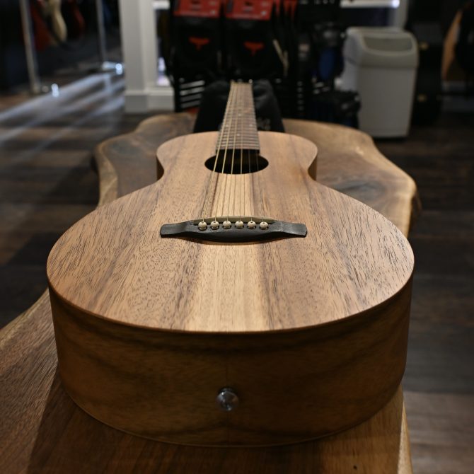 Ibanez PN2WS-OPB Open Pore Brown Parlor Acoustic #195