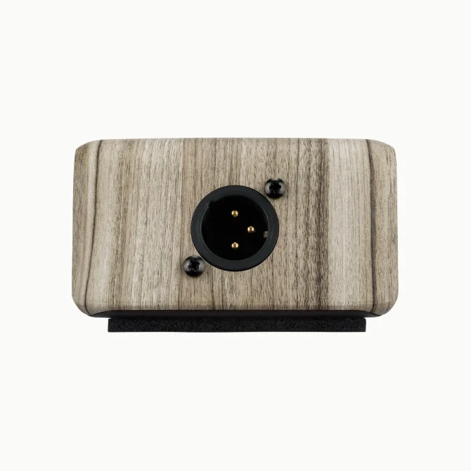 LR Baggs Align Series Active DI