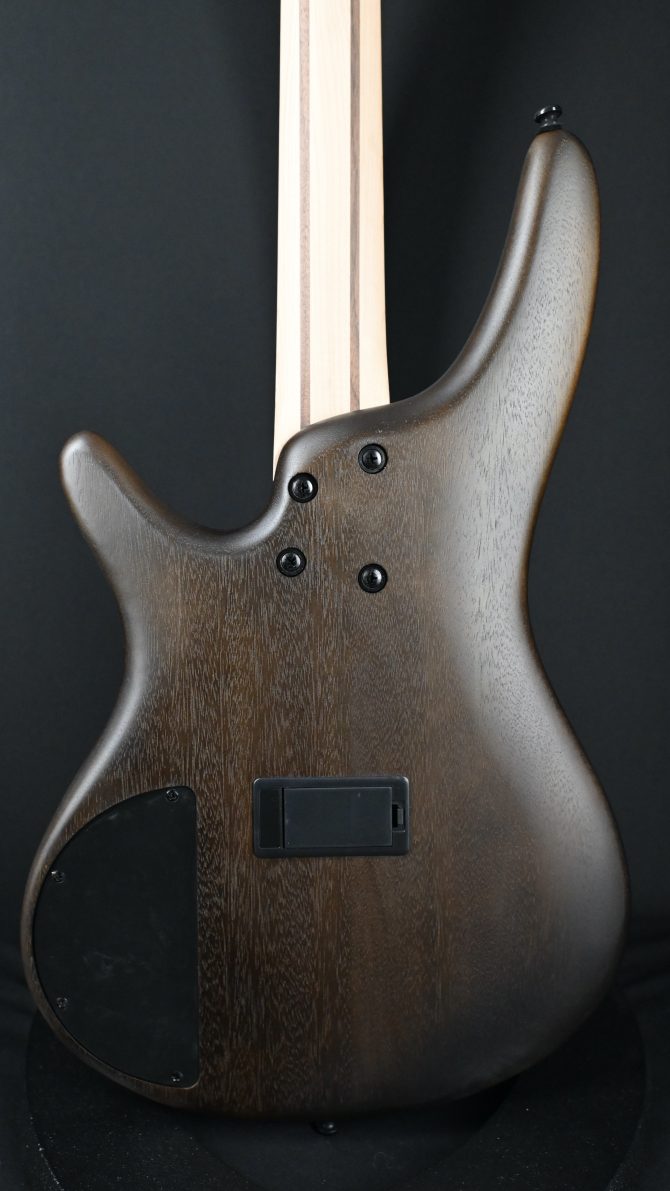 Ibanez Standard Series SR300EB-WNF Walnut Flat #870