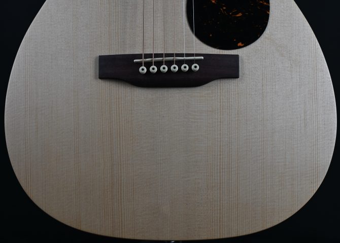 Martin 00-X2E Cocobolo #091