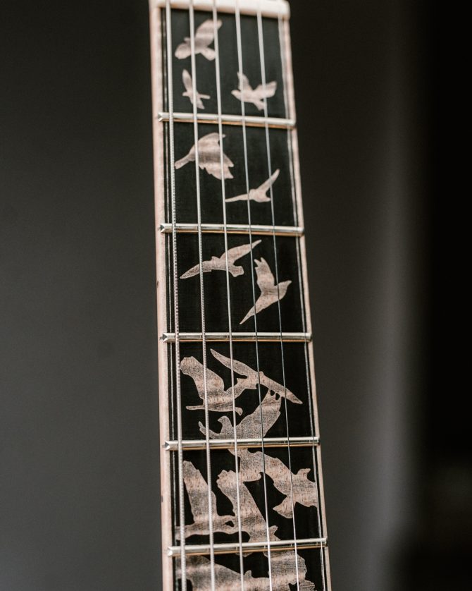 PRS Private Stock 30th Anniversary "Birds of a Feather" Hollowbody I Frostbite Glow Pre-Order