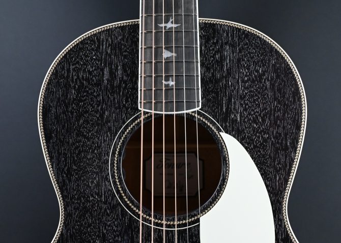 PRS SE P20E Parlor Acoustic Guitar Dog Hair #214