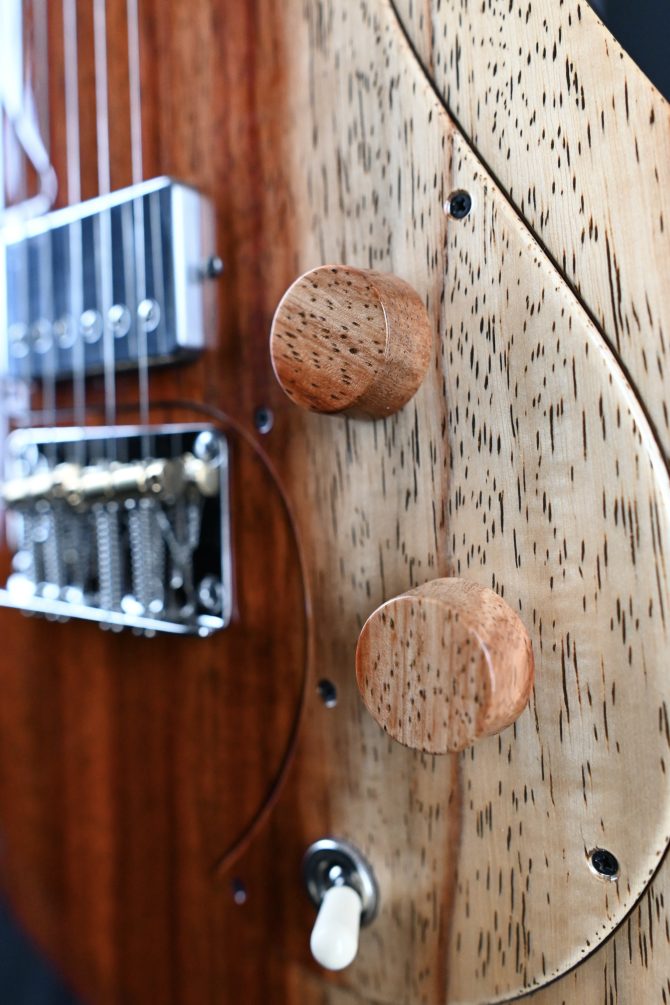 PRS Private Stock #12193 Padauk Vela Semi-Hollow